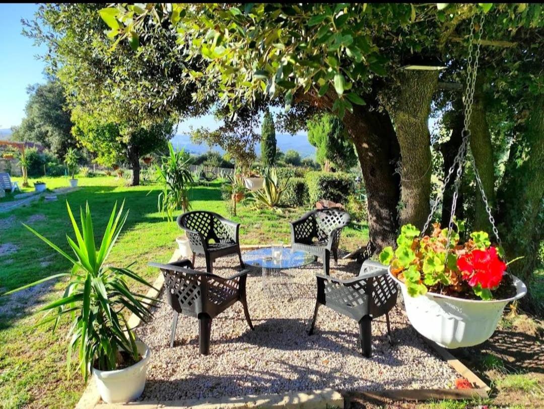 Agriturismo Podere Le Palaie Monterotondo (Tuscany) Exterior foto
